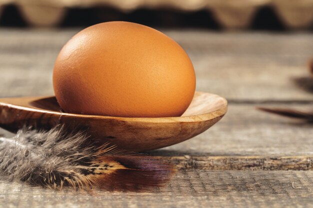 Close up of fresh chicken egg on nature wooden table