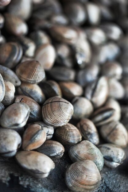 Foto primo piano di vongole fresche su uno stallo