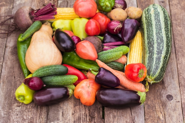 野菜の新鮮な作物、農民の収穫、野菜畑のクローズアップ。エコ製品、菜食主義、代替タンパク質、野菜の栄養