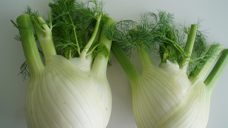 Photo close-up of fresh food against white background