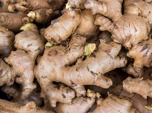 Close up of fresh ginger root