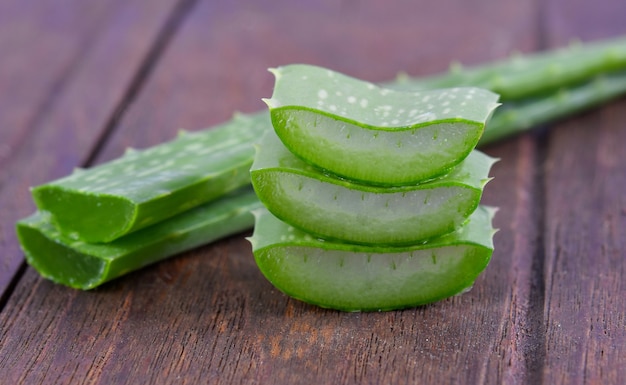 Close-up of fresh green aloe vera