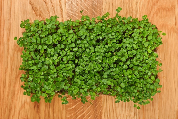 close up fresh green arugula microgreens sprouts on wooden cutting board