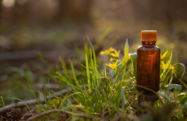 Close-up of fresh green bottle on field
