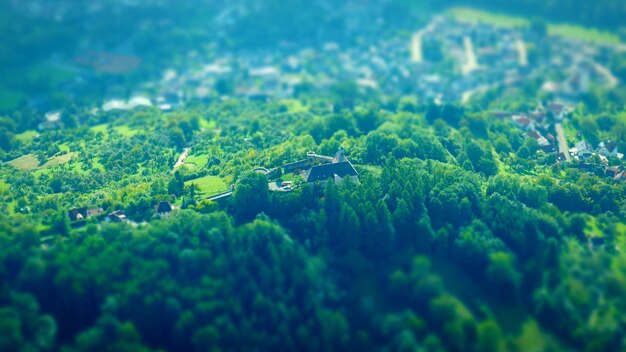 Close-up of fresh green landscape against sky