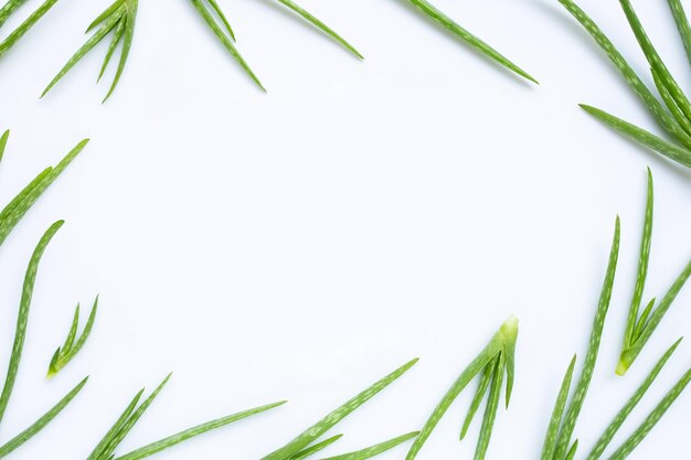 Photo close-up of fresh green leaves against white background