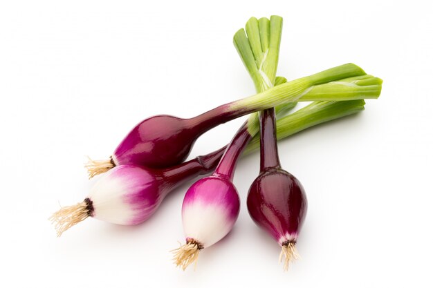 Close-up of fresh green onion