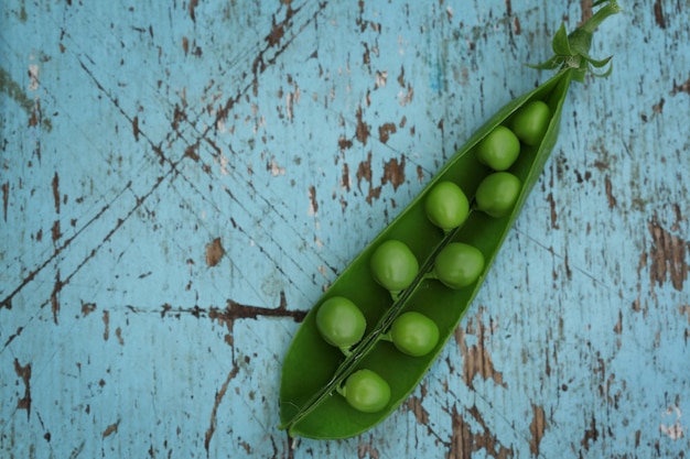 Photo close-up of fresh green pea on blue wooden background