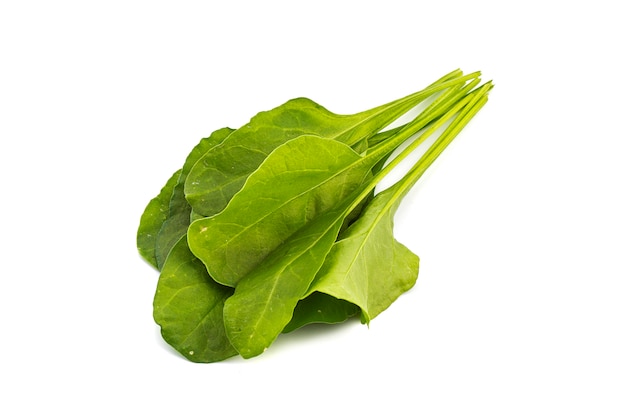 Close up of fresh green spinach isolated on white surface