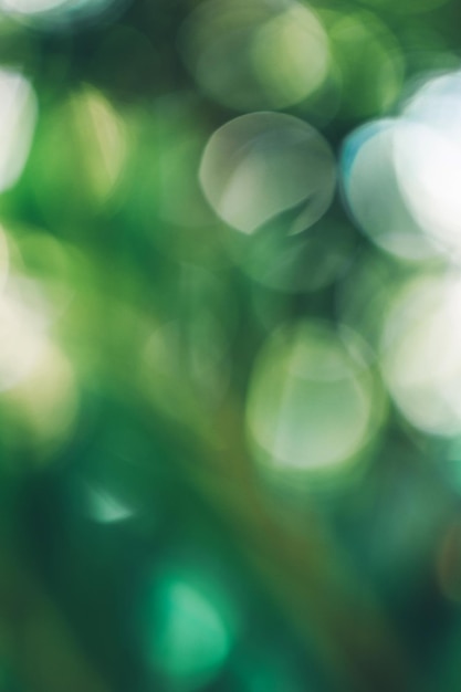 Close up fresh nature view of green leaf on blurred greenery background