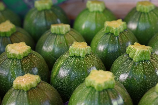 Close up fresh new green baby round zucchini in a row in box on retail display of farmers market, high angle view