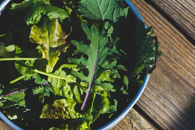 Photo close up of  fresh picked  kale