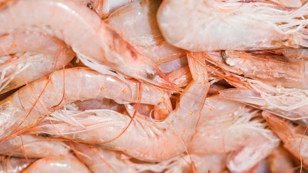 Close-up of fresh pink shrimps