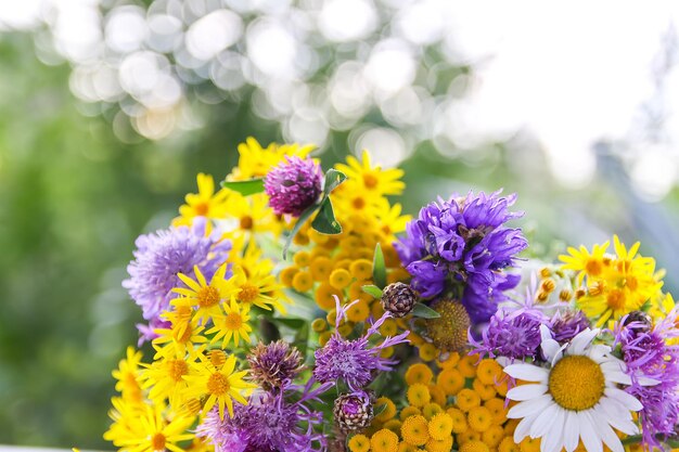 Photo close-up of fresh purple flowers