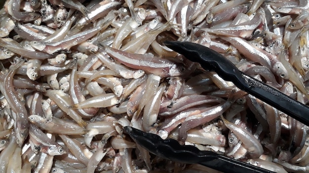 Photo close up of fresh raw anchovies sell in the market