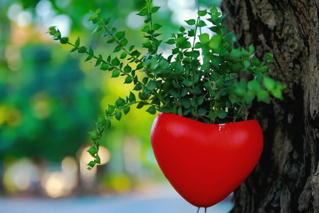 Foto prossimo piano di frutta rossa fresca sull'albero