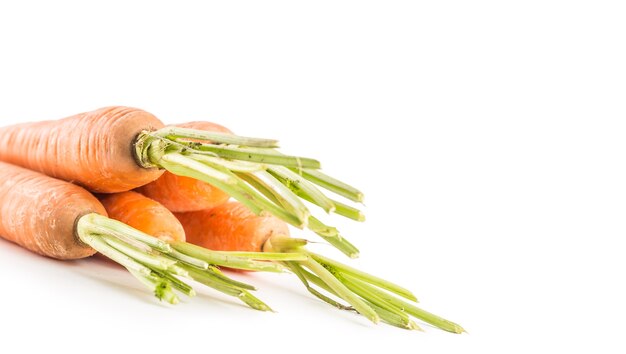 Close-up fresh ripe carrots isolated on white background.