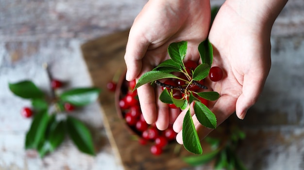 Close-up of fresh ripe cherries