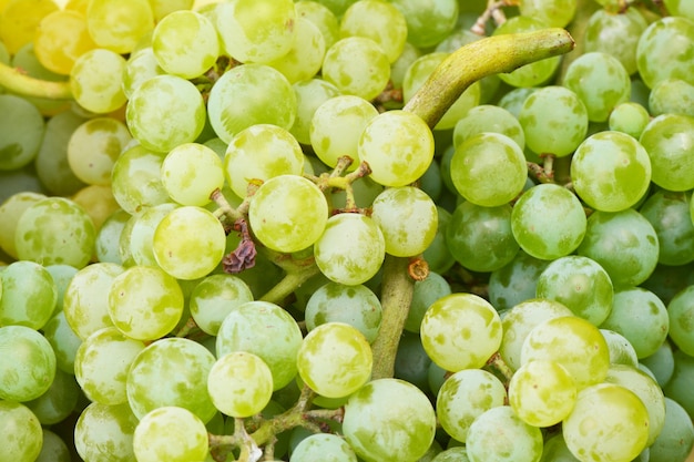 Крупный план свежего спелого винограда