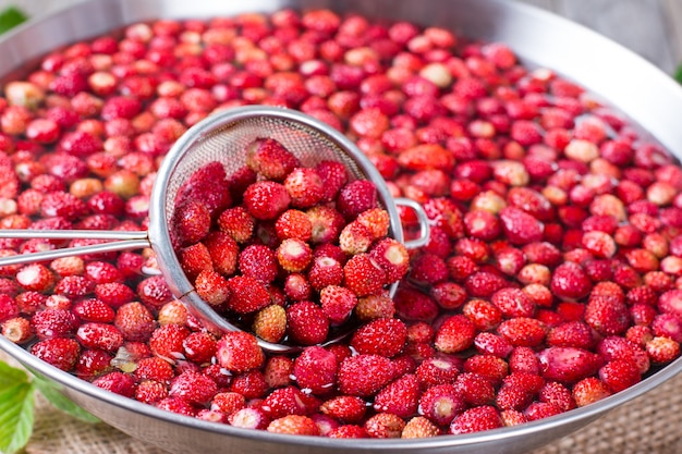 Close-up of fresh ripe strawberries