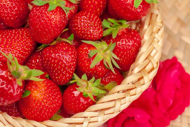 Close up of fresh ripe strawberry fruits