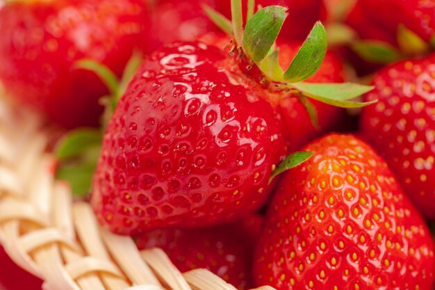 Close up of fresh ripe strawberry fruits