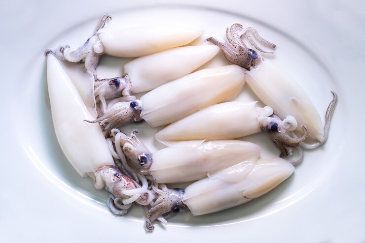 Close up  Fresh squid on white background
