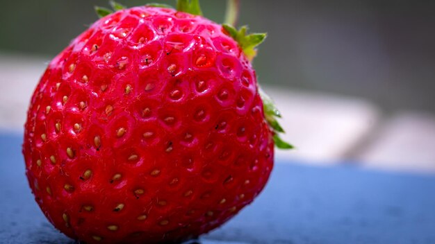 Photo close up of fresh strawberry showing seeds achenes details of a fresh ripe red strawberry