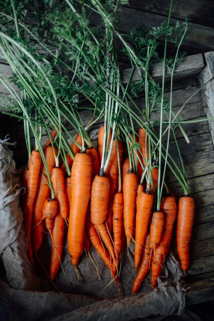 Photo close-up of fresh vegetables