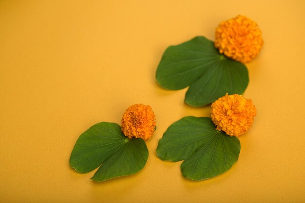 Close-up of fresh yellow and orange leaves