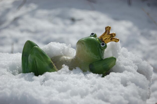 close-up of frog figurine in snow during winter