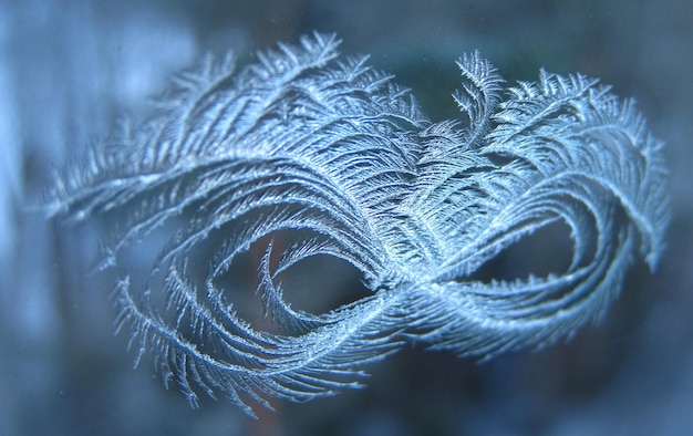 close-up of frost on glass window