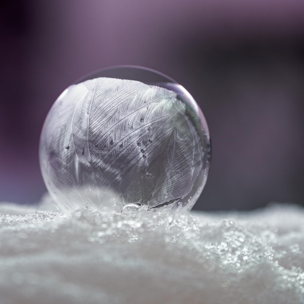 Close-up of frozen ball