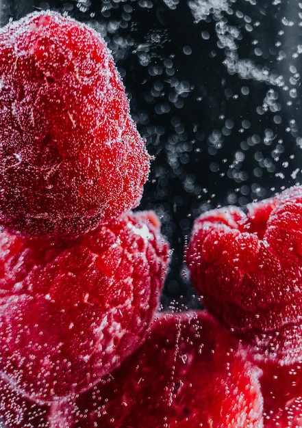 Close-up of frozen berries on tree