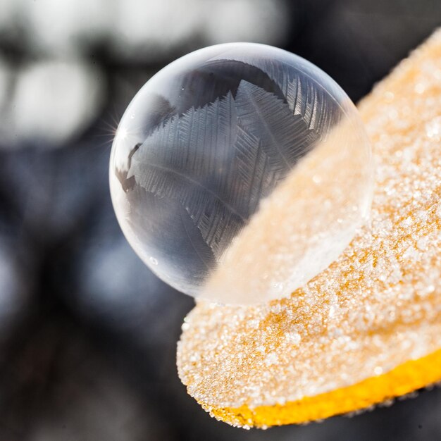 Foto prossimo piano della bolla congelata sulla pianta