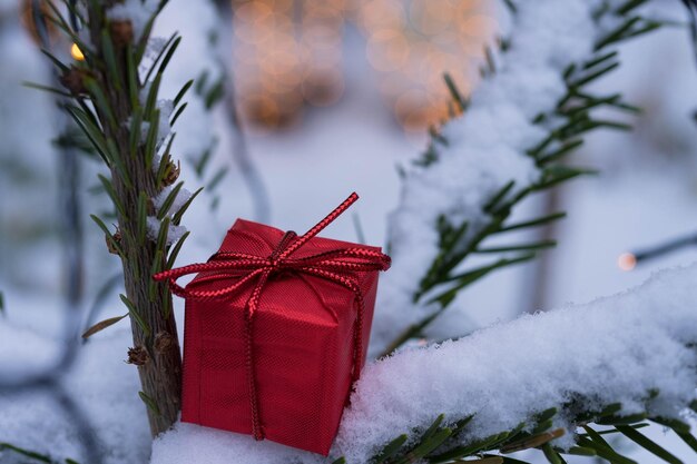 Photo close-up of frozen christmas tree during winter