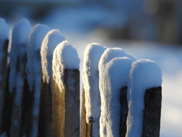 Photo close-up of frozen frost