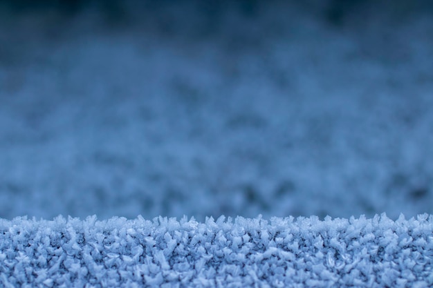 Close-up of frozen railing