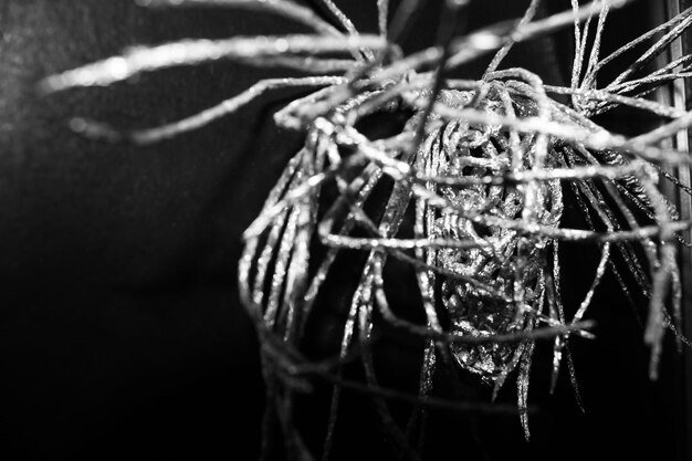 Photo close-up of frozen tree