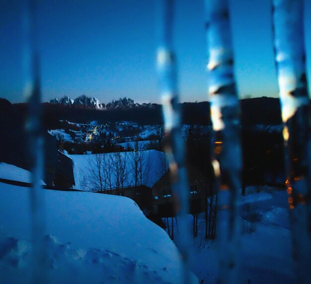 Close-up of frozen trees against sky during winter