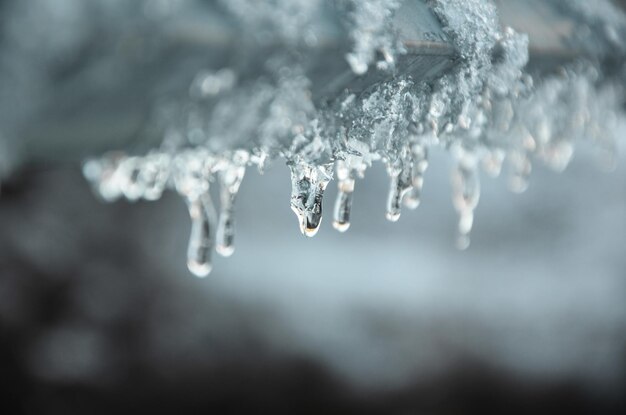 Photo close-up of frozen water on a bridge