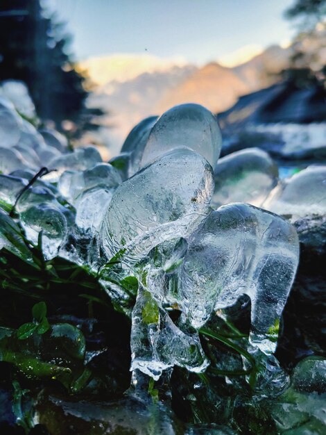 Photo close-up of frozen water on rock