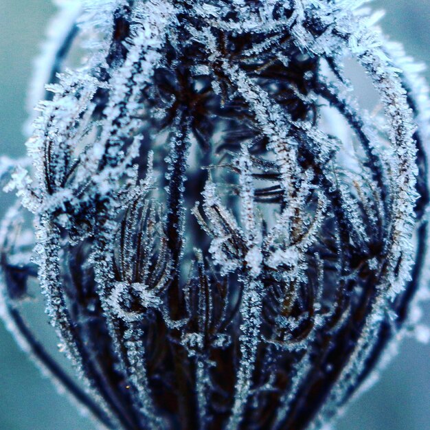 Foto prossimo piano dell'acqua congelata