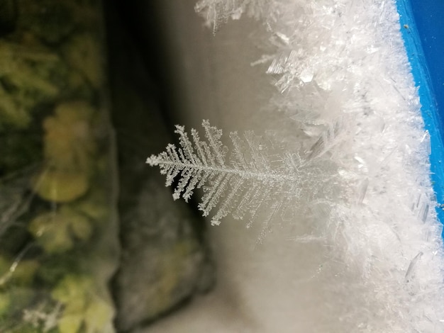 Foto prossimo piano dell'acqua congelata