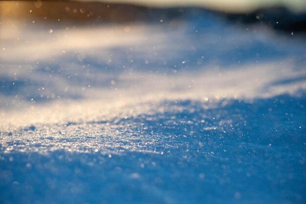 Photo close-up of frozen water