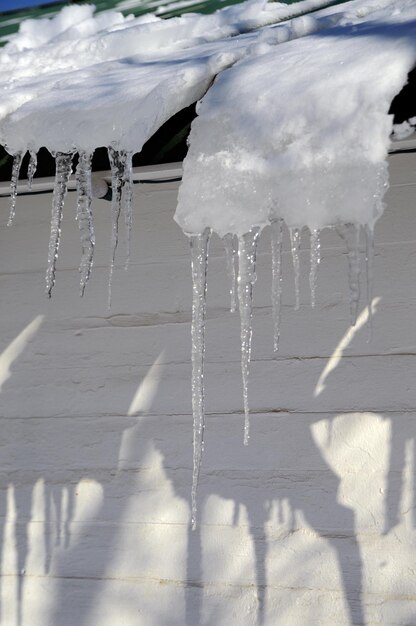 Close-up of frozen water