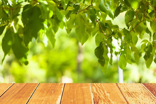 Foto prossimo piano di un frutto che cresce sull'albero