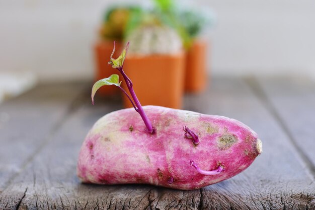 Foto prossimo piano della frutta sulla tavola