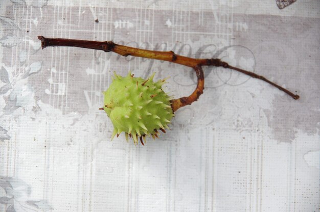 Foto prossimo piano della frutta sulla tavola