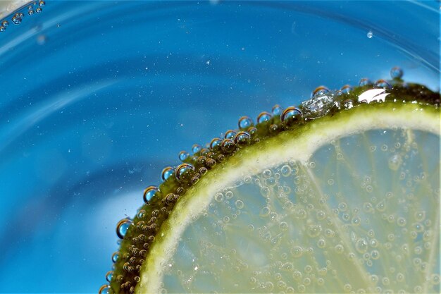 Close-up of fruit in water